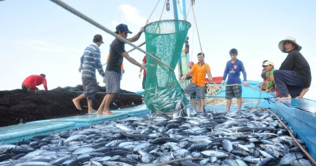 Một số kết quả trong triển khai thực hiện Nghị quyết 36 về phát triển bền vững kinh tế biển