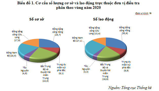 Tổng điều tra kinh tế năm 2021 - Cơ sở trực thuộc cơ sở kinh tế hành chính sự nghiệp phát triển khá