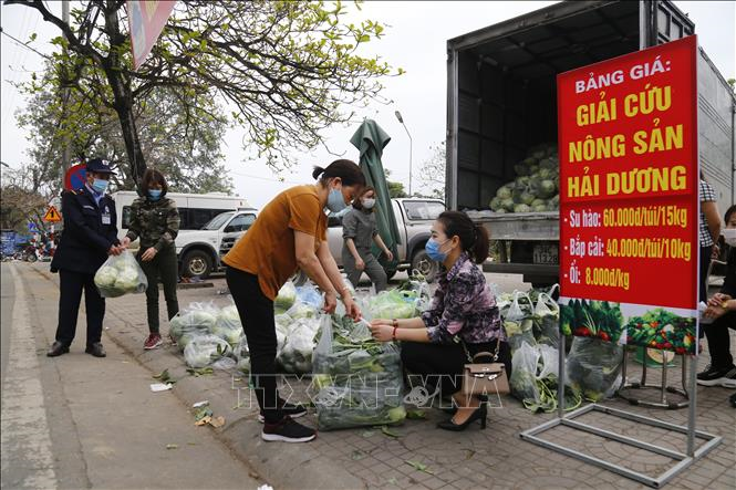 Tiêu thụ nông sản trong tình huống khẩn cấp