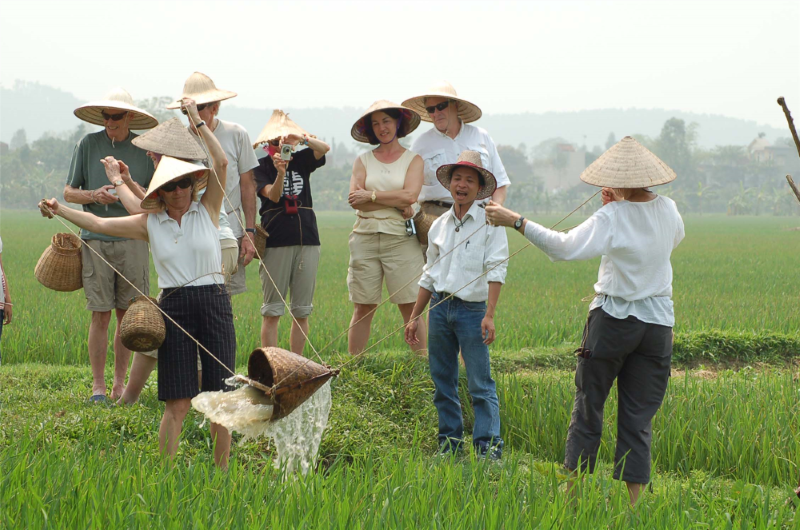 Phát triển du lịch nông nghiệp trên thế giới và thực trạng ở Việt Nam