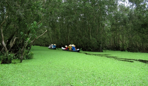 Kinh tế xanh trên ”xứ sở thốt nốt” An Giang