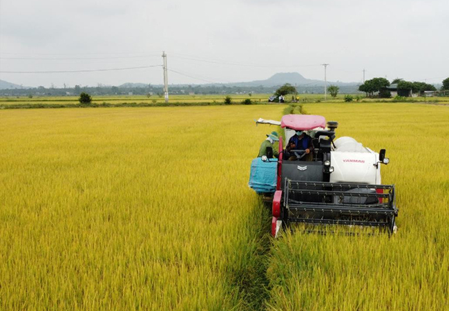 Nghiên cứu, hoàn thiện nguồn thông tin và phương pháp tính giá trị sản xuất hoạt động dịch vụ nông nghiệp