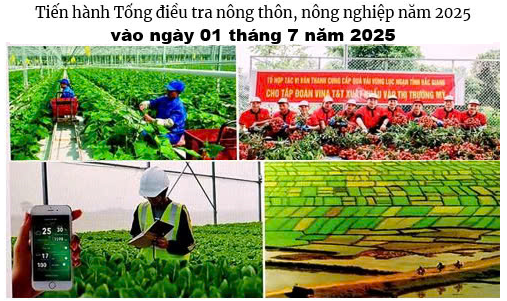 Phó Thủ tướng Thường trực Chính phủ Nguyễn Hòa Bình làm Trưởng ban Ban Chỉ đạo Trung ương Tổng điều tra nông thôn, nông nghiệp năm 2025 