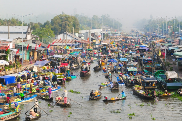 Thành phố Cần Thơ quyết tâm hoàn thành tốt công tác Điều tra dân số và nhà ở giữa kỳ năm 2024