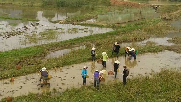 Thúc đẩy phát triển du lịch nông thôn ổn định và bền vững