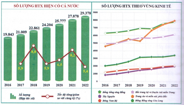 Phát triển hợp tác xã Việt Nam giai đoạn 2021-2022 - Những kết quả nổi bật