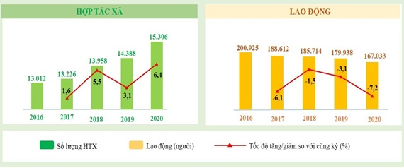 Tổng điều tra Kinh tế năm 2021 - Phát triển Hợp tác xã thời hội nhập