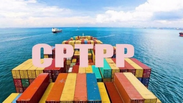 Nhìn lại CPTPP sau 1 năm có hiệu lực