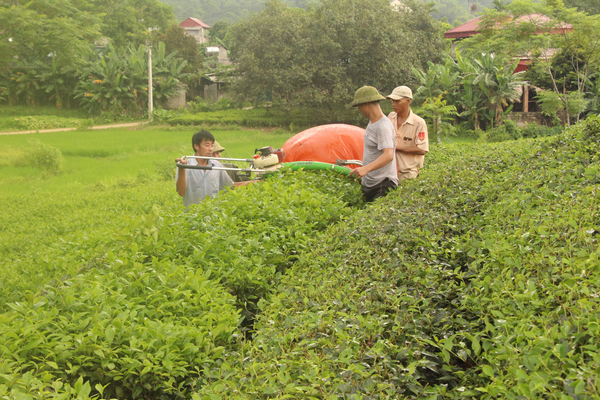 Dấu ấn nông thôn mới tại đồng bằng sông Hồng và Bắc Trung bộ