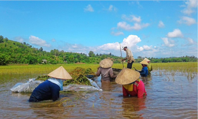 Tăng cường liên kết giữa các địa phương, vùng trong sử dụng tài nguyên, bảo vệ môi trường và ứng phó biến đổi khí hậu