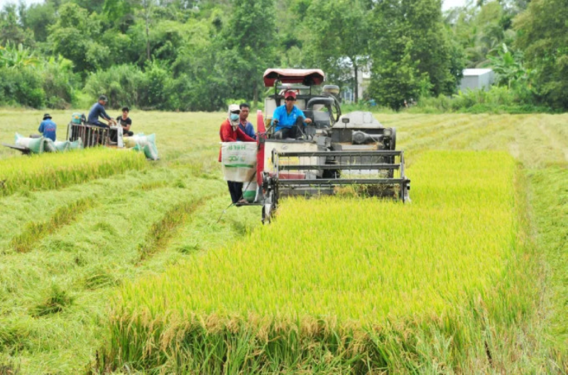 Giảm nghèo bền vững vùng đồng bằng sông Cửu Long 