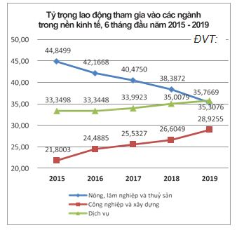 Tình hình lao động việc làm cả nước 6 tháng đầu năm 2019