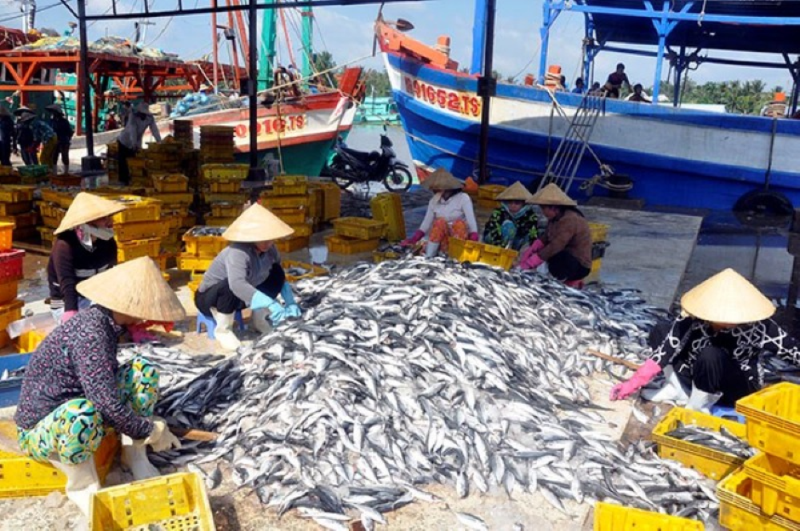 Nuôi trồng, khai thác thủy sản tỉnh Thừa Thiên Huế 