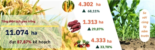 Một số kết quả nổi bật trong phát triển kinh tế - xã hội 11 tháng năm 2024  của tỉnh Hà Tĩnh