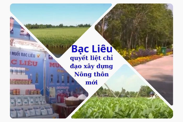 Bạc Liêu quyết liệt trong công tác chỉ đạo xây dựng nông thôn mới năm 2024