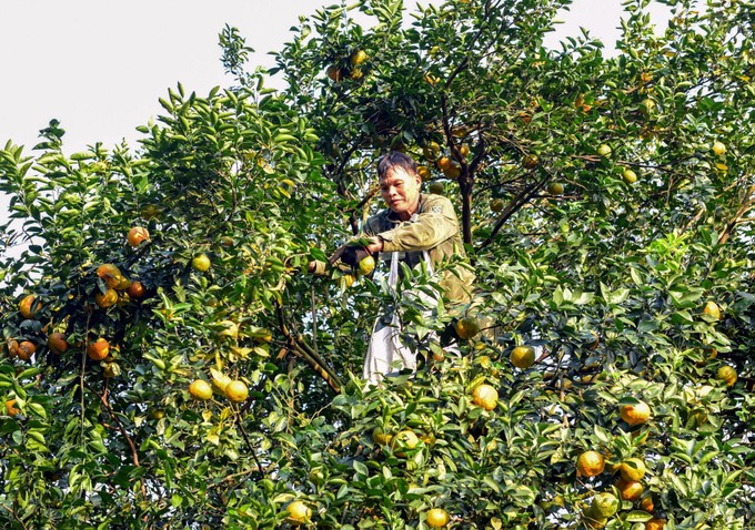 Tuyên Quang: Quyết tâm chung sức Xây dựng nông thôn mới