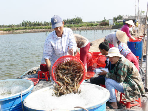 Nông, lâm nghiệp và thủy sản Bến Tre đạt nhiều chuyển biến tích cực