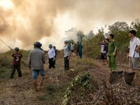 Kiên Giang: Khống chế đám cháy rừng do người đi lấy mật ong vứt tàn thuốc