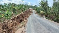 Đề xuất thành lập tổ kiểm tra nguyên nhân sự cố sạt lở tuyến đường bờ bắc cặp sông Vàm Cỏ Tây