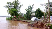 Ngăn chặn nguy cơ sạt lở bờ sông chợ Đệm