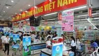 Nhiều giải pháp thúc đẩy hàng Việt phát triển 