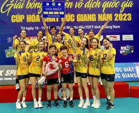 Giải vô địch quốc gia năm 2024 sẽ tiến hành đấu vòng tròn một lượt ?