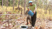 Căng mình phòng chống cháy rừng