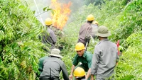 Cảnh báo cháy rừng, cỏ khô