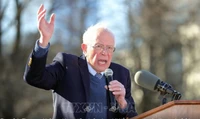 Bầu cử Mỹ 2020: Ứng cử viên Sanders có thêm 4 đại biểu