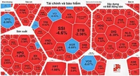 VN-Index thủng đáy