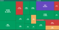 VIC tăng trần sau khi VinFast lên sàn Nasdaq