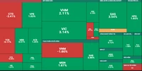 VN-Index tăng gần 10 điểm phiên khai xuân Quý Mão