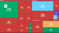 Nhà đầu tư chốt lời phiên chiều, VN-Index quay đầu giảm gần 20 điểm phiên đầu tuần