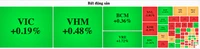 Cổ phiếu bất động sản hạ nhiệt, VN-Index vẫn tăng gần 11 điểm