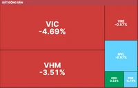 “Giải cứu” cổ phiếu Novaland bất thành, VN-Index quay đầu giảm điểm