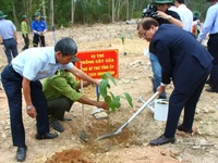 Nông dân Khánh Hòa trồng 40.000 cây xanh trong chương trình “Tết trồng cây đời đời nhớ ơn Bác Hồ”