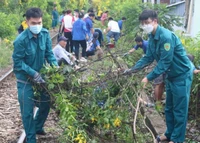 Ra quân vệ sinh môi trường, tạo mảng xanh cho tuyến đường sắt