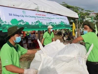 Trồng cây xanh, thu gom rác thải bao bì vì “Môi trường sạch – Cuộc sống xanh” 