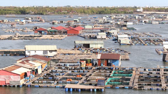 Nuôi trồng thủy sản tác động nhiều đến môi trường