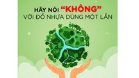 Nói không với nhựa dùng một lần