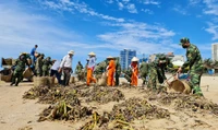 Thu gom hơn 100 tấn rác dạt vào bãi biển TP Vũng Tàu