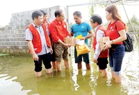 Lo mưa lũ, dịch bệnh hoành hành