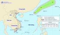 Áp thấp nhiệt đới di chuyển nhanh, các tỉnh từ Quảng Ninh đến Quảng Trị chủ động ứng phó