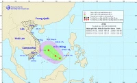 Ban chỉ đạo Trung ương yêu cầu ứng phó với áp thấp trên biển Đông