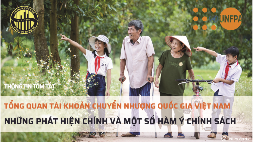 Tổng quan tài khoản chuyển nhượng quốc gia Việt Nam những phát hiện chính và một số hàm ý chính sách