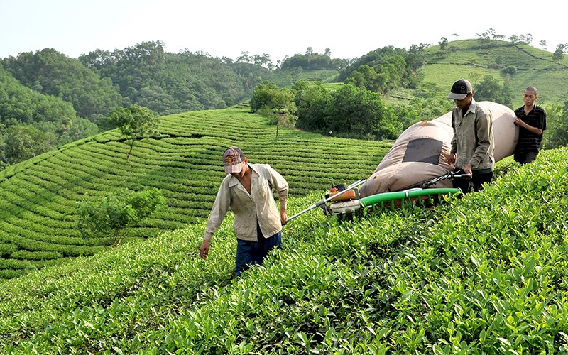  Giảm nghèo bền vững vùng đồng bào dân tộc thiểu số 