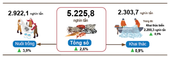 Nuôi trồng thủy sản 7 tháng tăng trưởng khá nhờ áp dụng các phương thức nuôi trồng tiên tiến, hiệu quả