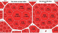 Nhà đầu tư đóng hơn 500.000 tài khoản chứng khoán