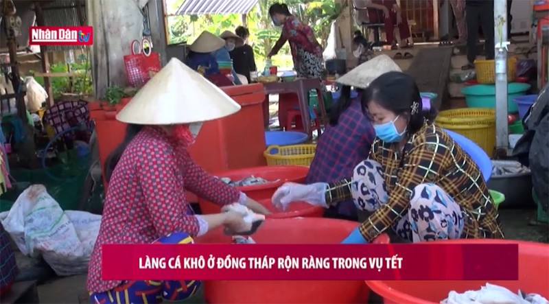  Làng cá khô ở Đồng Tháp rộn ràng trong vụ tết 