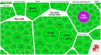 Tiền đứng ngoài thị trường, chứng khoán vẫn tăng